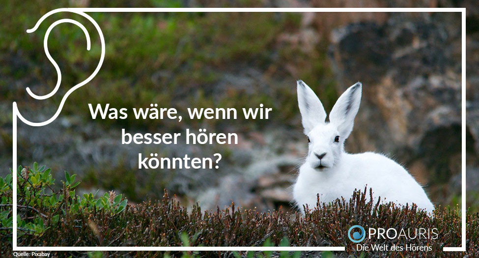 Was wäre, wenn wir besser hören könnten?