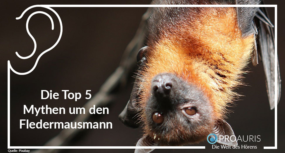 Die Top 5 Mythen um den Fledermausmann